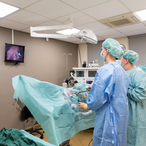 laparoscopische sterilisatie 