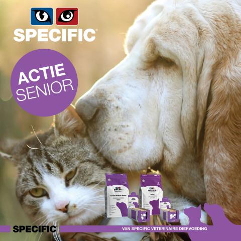 specific senior