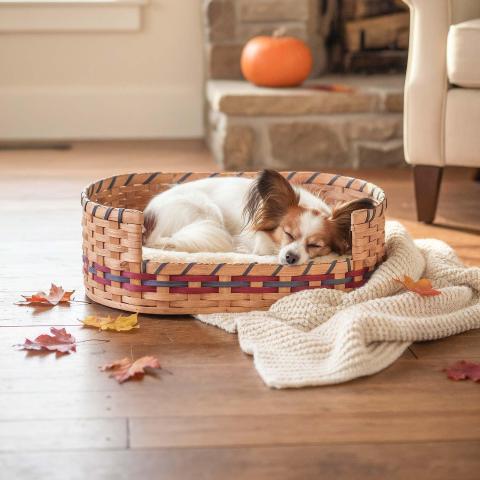 hond herfst mand